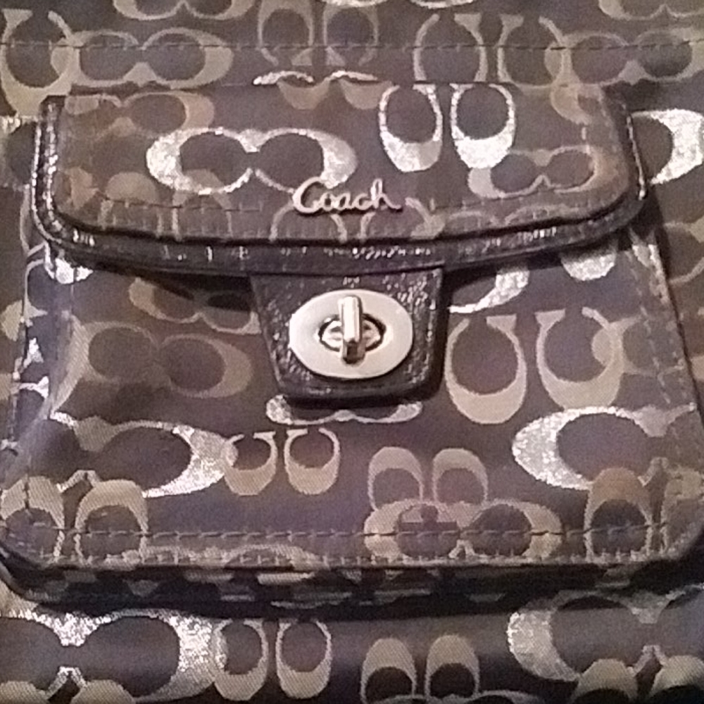 Coach Bag,One Size, Blue